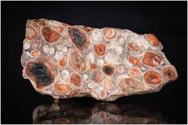 Speed Training For Beginners